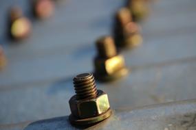 Screw Sheet Metal gold