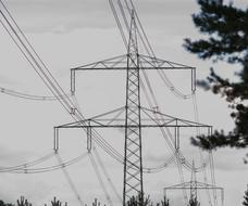 Strommast Voltage tree