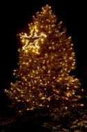 Christmas Lights Fir Tree gold