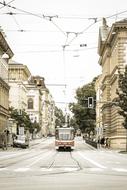 Tram lines on the streets of Brno, Czech Republic