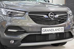 Car Opel Grandland X