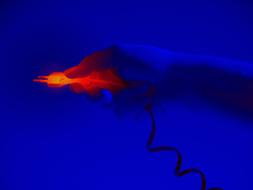Infra Red Hand