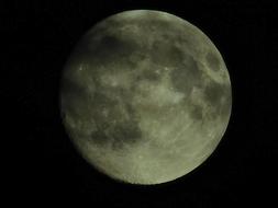 macro photo of a gray moon