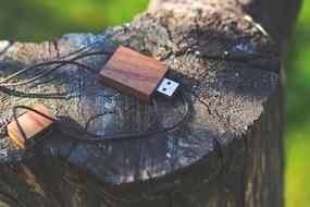 photo of a wooden flash drive on a stump