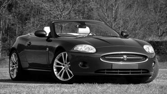 Jaguar Xk Car