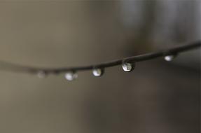 Macro photo of the water drops on the wire