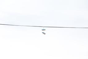 Electrical Power Line white sky
