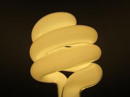 spiral light bulb