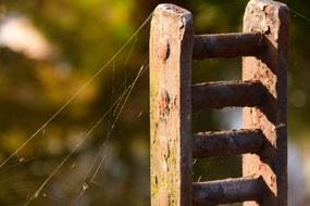 spider web on rusty detail at colorful blurred background