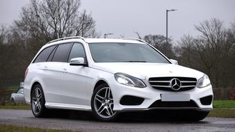 Shiny white Mercedes-Benz car on the road among the plants