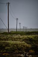 Power Lines Field