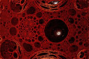 render 3d web construction red drawing