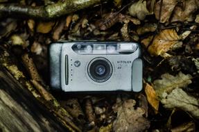 vintage camera on autumn foliage