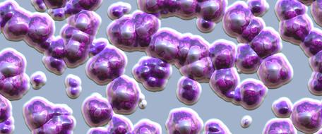 header bacteria cells