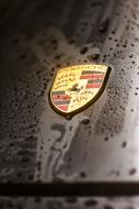 Porsche logo on a gray wet hood