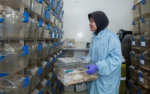 Containment Facility