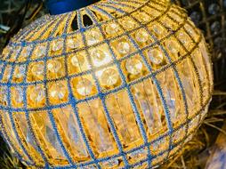 gold Bright Bulb