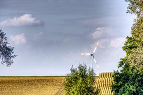 Tree and Wind Power