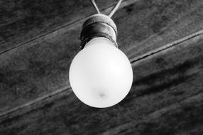 Electricity Bulb Lamp black and white