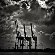 monochrome photo of three harbor cranes in Hamburg