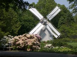 Windmill Machine forest