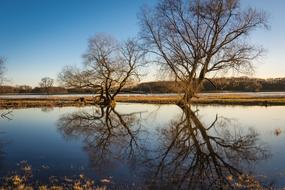 Elbe High Water blu
