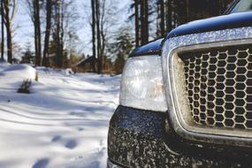 Forest Auto snow