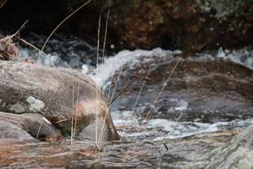 macro photo of stones in a stormy river