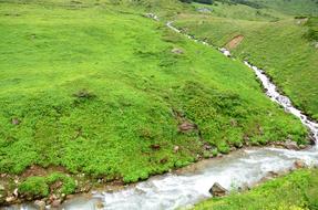 Beautiful landscape of the green mountains and stream in the Easter Black Sea in Turkey