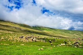 landscape of green hills and clody sky