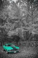 black and white photo of a turquoise ford mustang in the forest