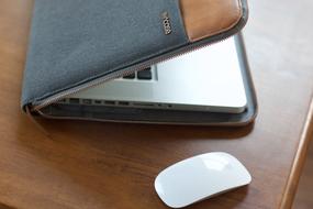 Apple Mouse Incase white