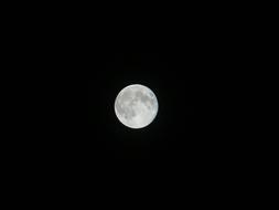 Supermoon Night
