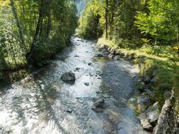 Cascades Water River forest