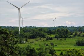 Electricity Turbine Power and green bush