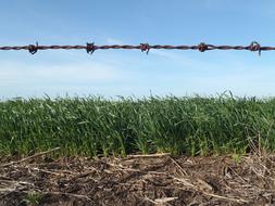 Field Agro