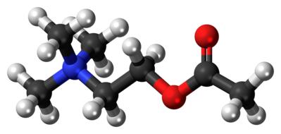 acetylcholine cation atomic model