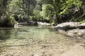 Beautiful river, among the green trees and rocks