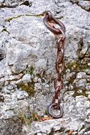 rusty Chain on grey stone