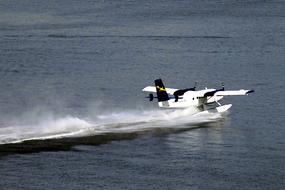 airplane on the water on a sunny day