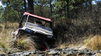 the SUV moves through the forest area