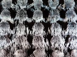 macro photo of magnetic iron powder