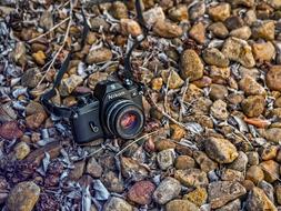 Slr Vintage Camera on stones