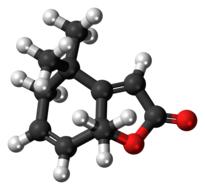 clipart of actinidiolide pheromone molecule