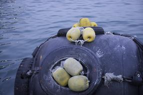 Black and yellow buoy for boats on the water