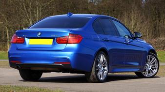 Back view of the beautiful, shiny, blue BMW car, among the colorful plants