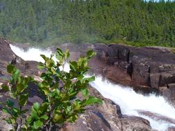 panoramic view of a fast mountain stream in a picturesque landscape