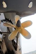 submarine screw