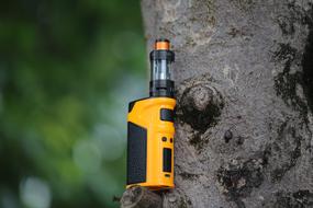 vape and tree trunk