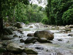 landscape of River Current